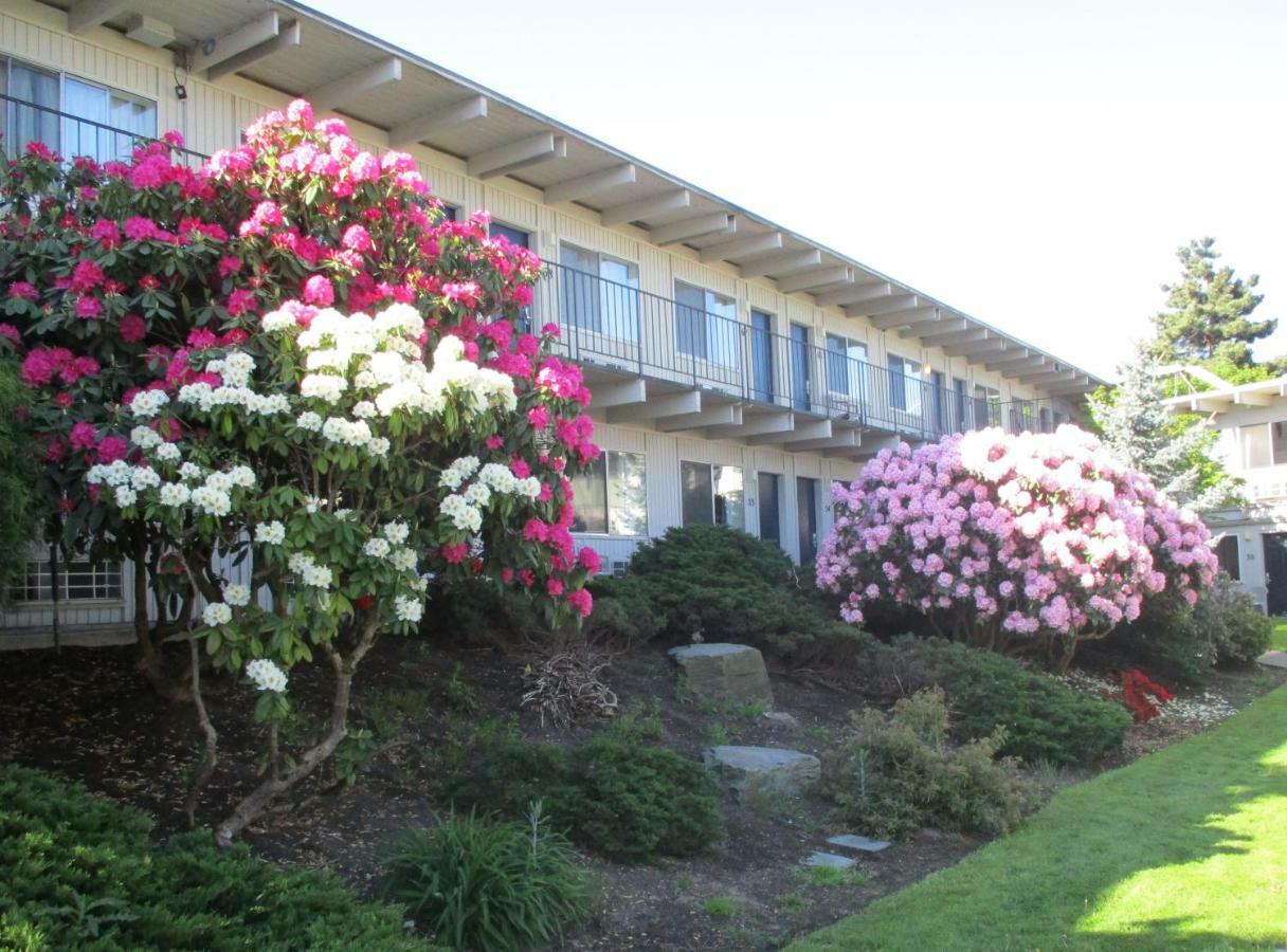 Motel Cocusa Burlington